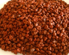 Annatto Seeds