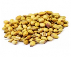 Coriander Seeds