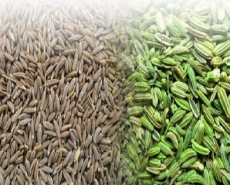 Cumin Seeds