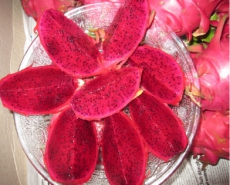 Fresh Dragon Fruit